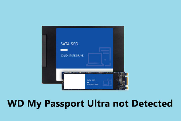 Convient Pour WD Western Digital My Passport Version SSD