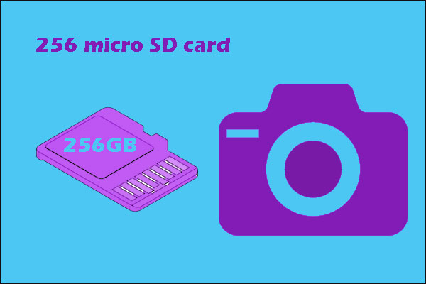 Best 256GB Micro SD – Manage It Better from 3 Aspects - MiniTool Partition  Wizard