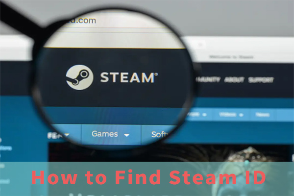 How to Quickly Find Steam ID Numbers - Apex Hosting