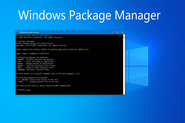 Windows window manager. Windows package Manager. Win пакеты. Штыеддфьло Windows пакет. Штыеддфьло Windows пакет 2000.