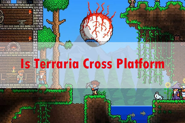 Terraria 1.4.5 CROSS-PLAY NEWS #terraria #terrarianews