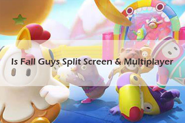 Does Fall Guys have split screen and local multiplayer?