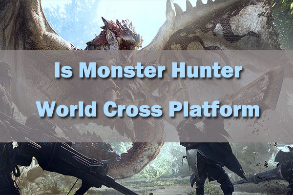 Is Monster Hunter Rise crossplay and crossplatform?