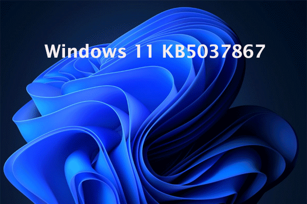 Windows 11 Insider Preview Build 22635 (KB5037867) Released