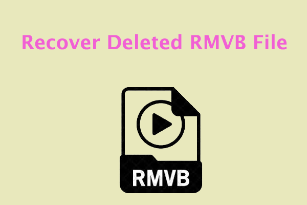 How to Recover Deleted RMVB File? Follow This Guide