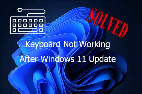 Keyboard Not Working After Windows 11 Update? Try These Fixes!