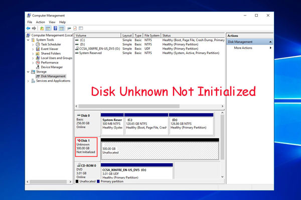 disk management not showing