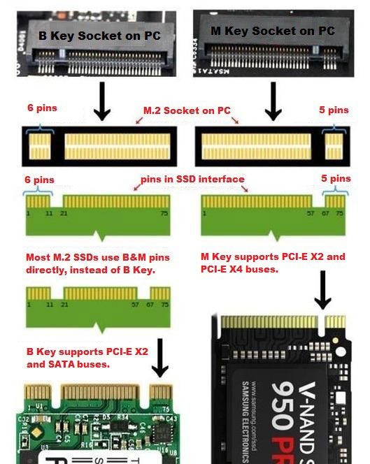 Explaining The Difference Between Ssd Nvme And M2 Sata And 57 Off 4464