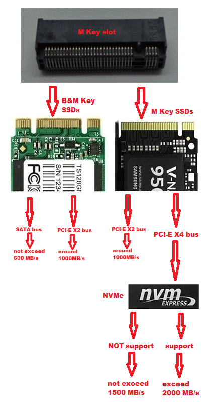 NVMe vs M.2: Bus, Protocol