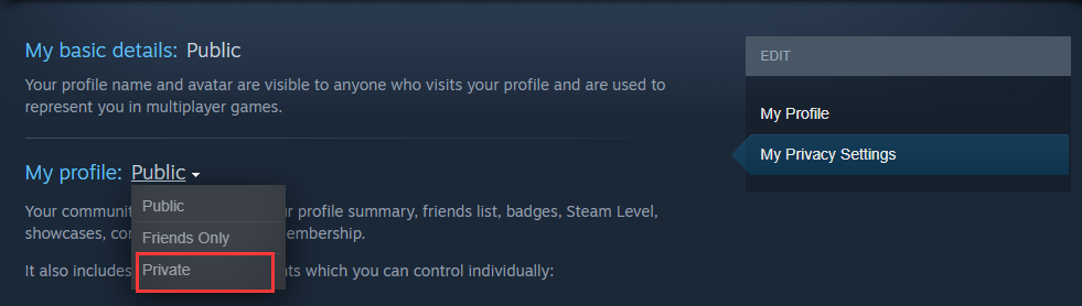 How to hide Steam games you're playing and game activity from