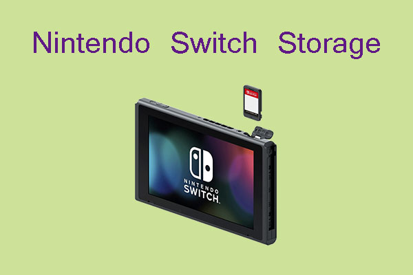 what storage does nintendo switch use