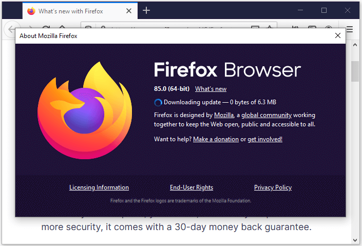 A Quick Guide on How to Fix Firefox Addons Not Working - MiniTool Partition  Wizard