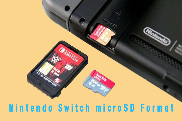 nintendo switch sd card format fat32 or exfat