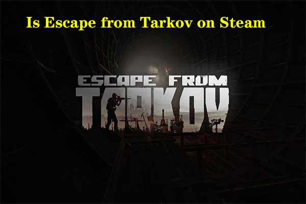 escape from tarkov steam price