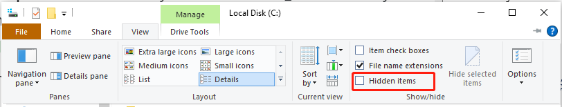 untick Unhidden items in File Explorer