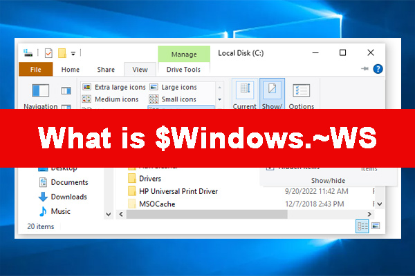  Windows WS What Is It And Is It Safe To Delete Answered 