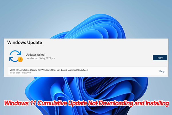 2024 10 cumulative update for windows 11 not installing