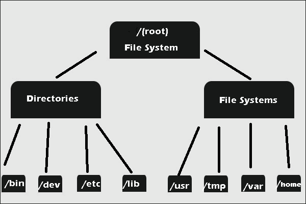  What Is File System With Example Design Talk